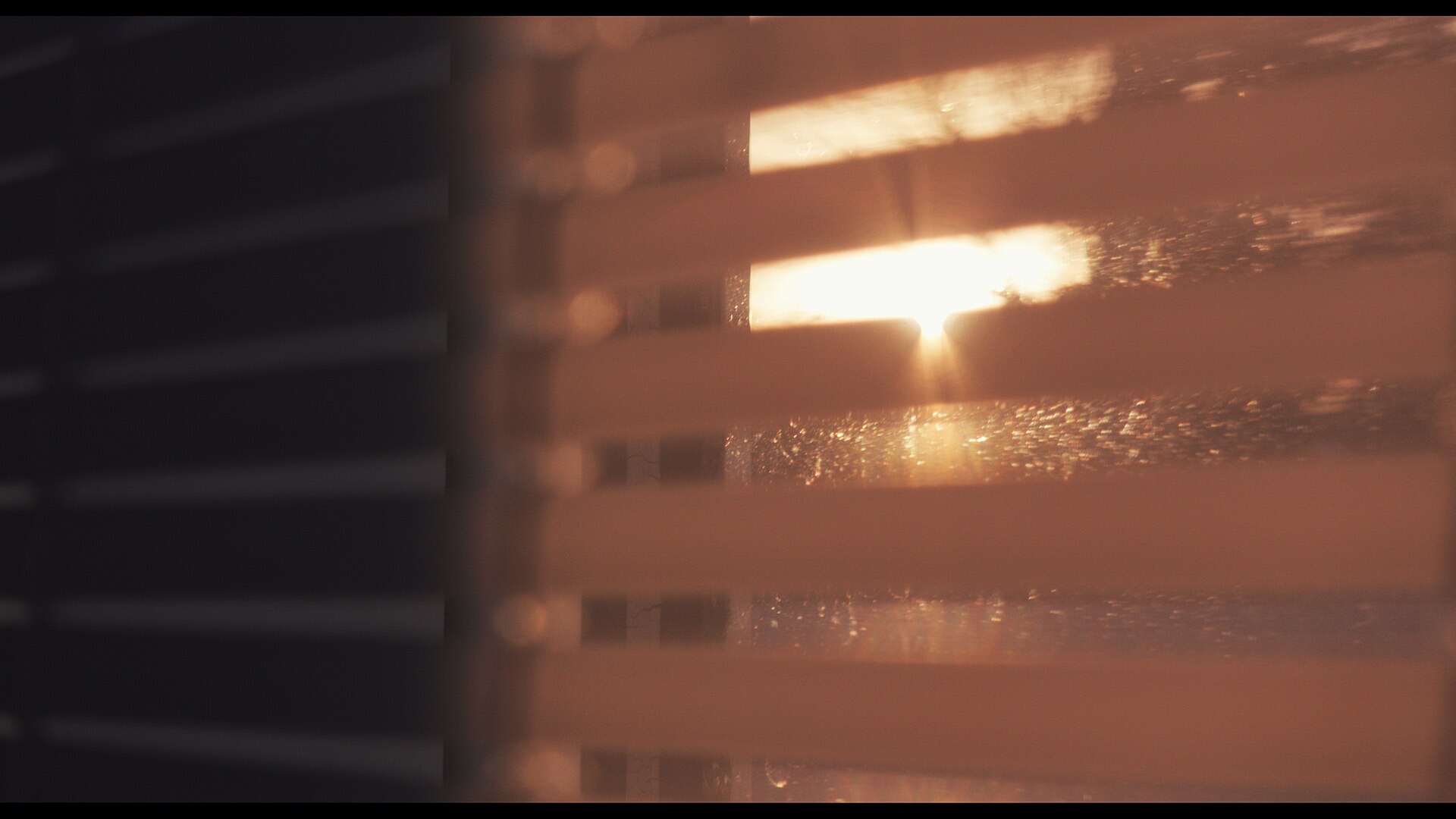 Evening sun shining through window blinds